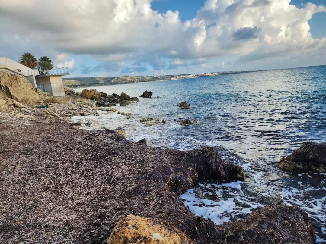 Appartement Serenity Corner Paphos